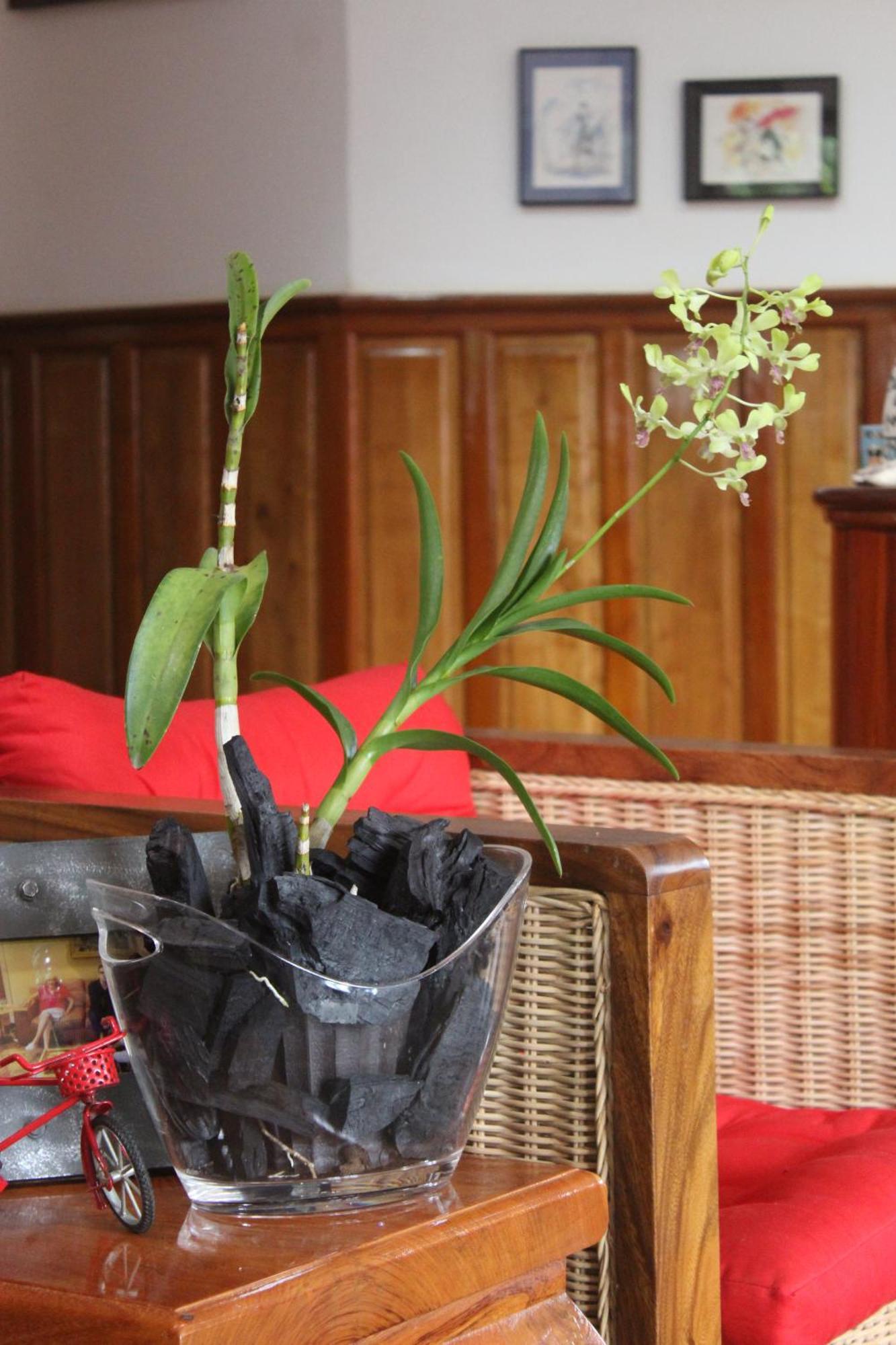 Villa B.Maison D'Hotes Angkor Siem Reap Dış mekan fotoğraf